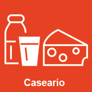 CASEARIO